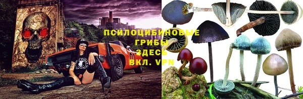 спайс Алзамай