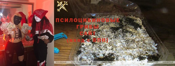 сатива Алексеевка